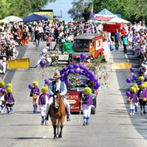 Photo Golden Horseshoes Parade